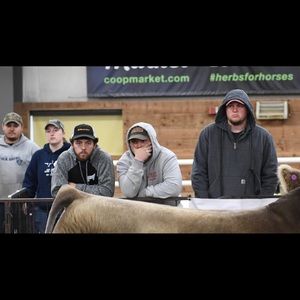 Meet your Posher, Brody